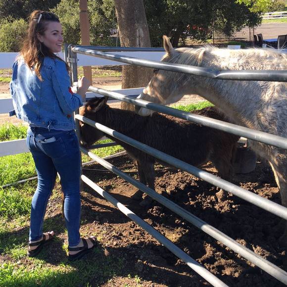 Meet your Posher, Nicole - Picture 2 of 4